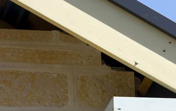 soffit repair Thorngumbald